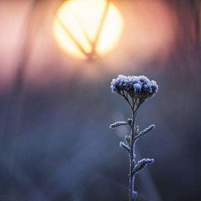 博鱼·体育app(中国)官网入口-手机版app下载